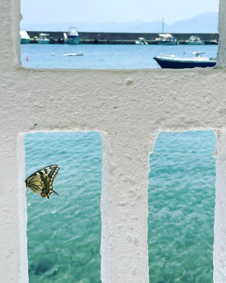 AQUA VERO sea residence Hersonissos (Crete) Exterior foto